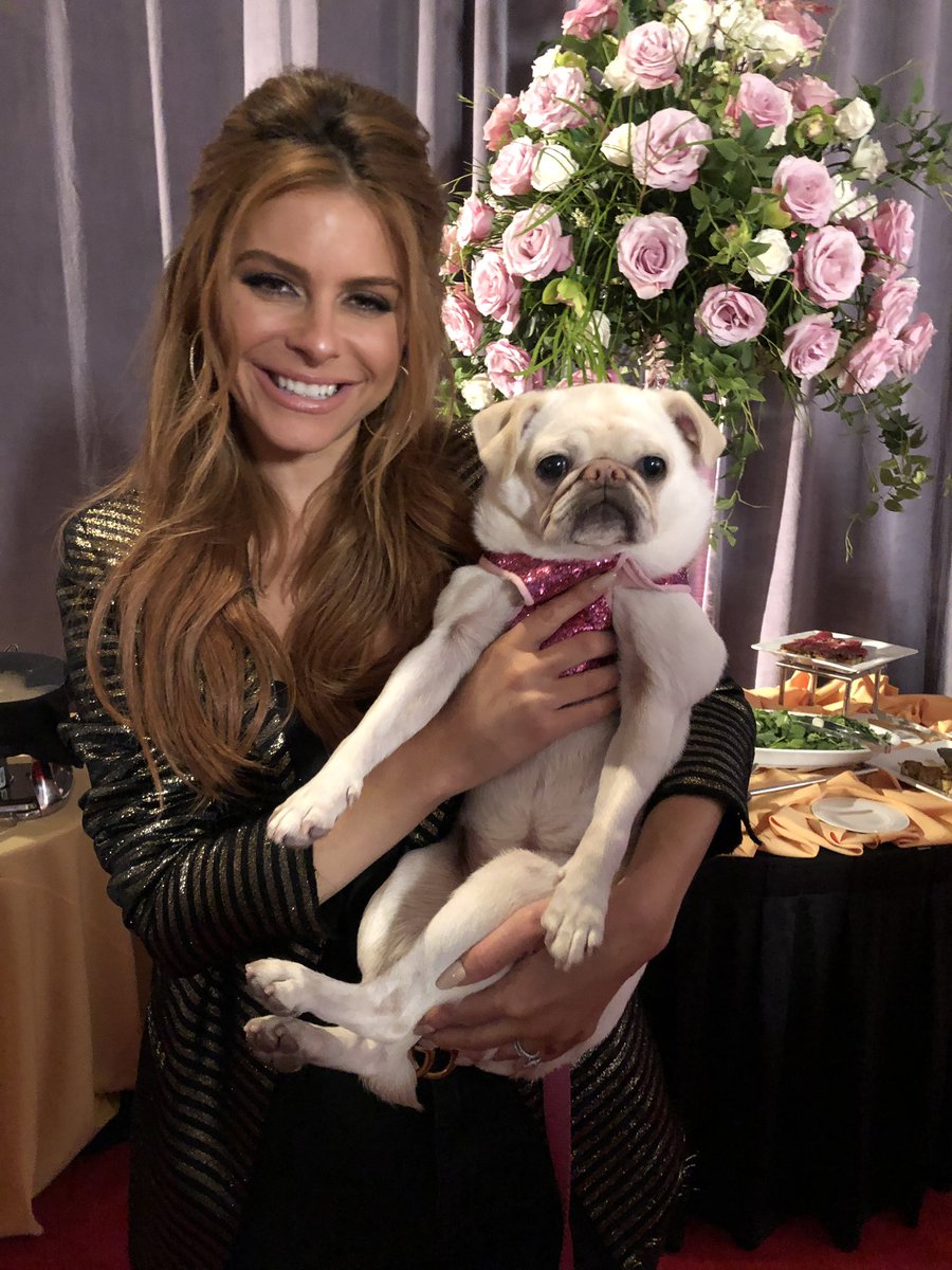 GidgetsFanPage's tweet photo. Maria Does A Better Pouty Face Than I Do ๐ค๐๐คฃ๐๐
@mariamenounos
Stay Tuned For The Beverly Hills Dog Show Coming This Easter.
@Purina
@bevhillsdogshow
@Carson_Events
@nbc
#dogshow #gidget #surfdog #surfpug #nbc #purina #carson_events #bevhillsdogshow #dogs https://t.co/wfnfFs64M7