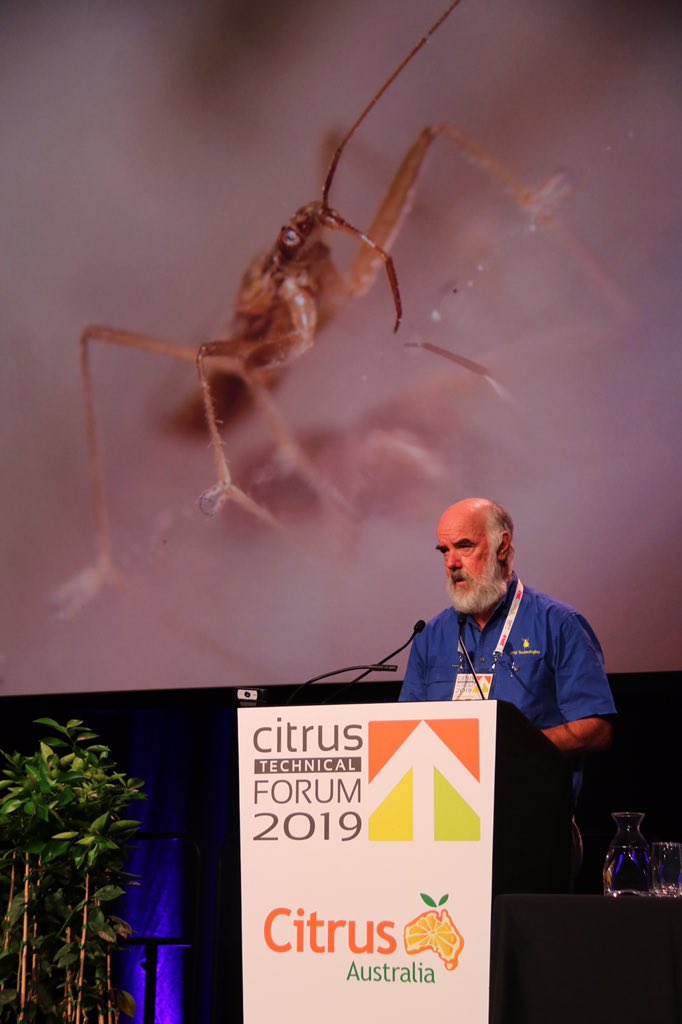 CitrusAustralia's tweet photo. Paul Horne from IPM Management provides examples of beneficial insects at the #CitrusTech19 Forum. Many growers develop IPM approach only after chemical resistance proves detrimental. One shallot grower has cut insecticide use down from every 10 days to none. https://t.co/iUgVVbXASu