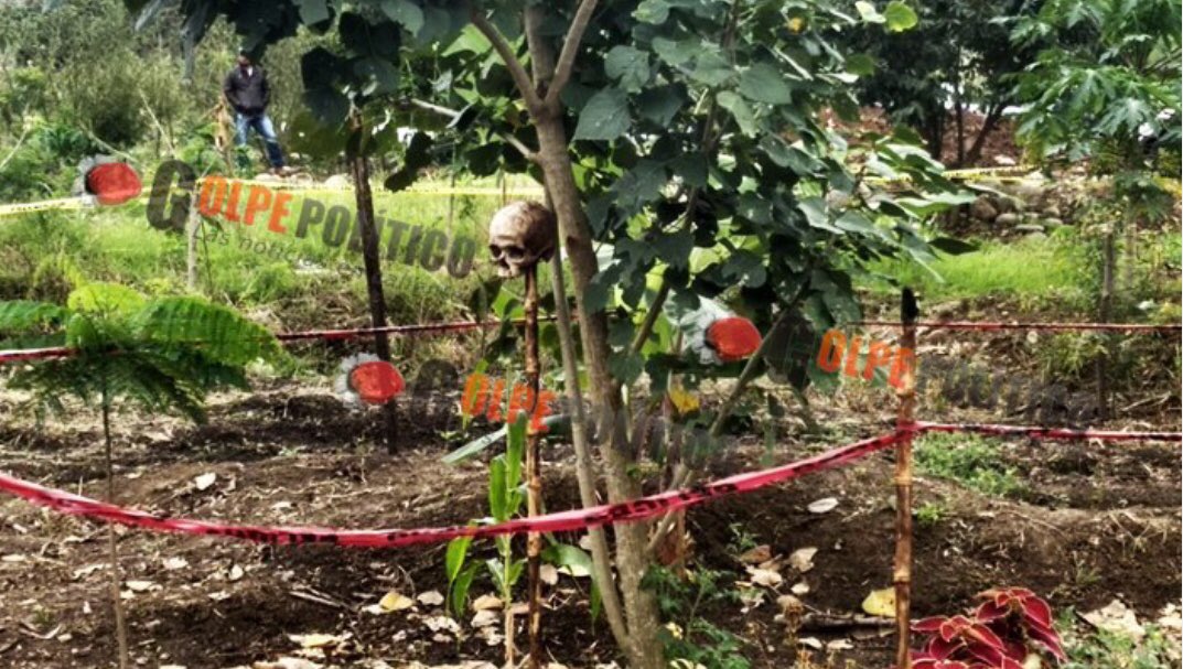 Aveefeniix's tweet photo. Lo “sembraron” en un cañal!
HALLAN CRÁNEO humano en #Pedernales, municipio de #Atzalan

https://t.co/8eW4U24ssu

#Veracruz #Tlapacoyan #Altoronga #Misantla #MartínezDeLaTorre #Jalacingo #Tuxpan #PozaRica #Papantla #Xalapa #Verfollow #CórdobaVer #Orizaba #Coatza #Minatitlán https://t.co/Tr0RFWecpb