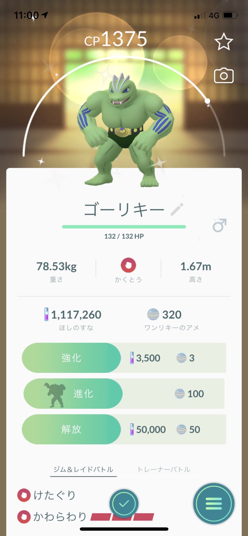 いや 待って ツイート見返したら 色違いカイリキー 色違いゴーリキー 色違いカイリキー って タグ間違えて2回 カイリキーやん ワンリキーどこいった 笑 色違いワンリキー Twitter