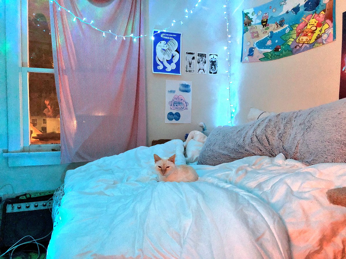 peepeeplayhouse's tweet image. Howd’y Evary One .