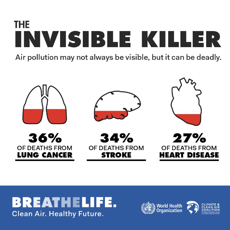 WHOSEARO's tweet photo. #AirPollution is deadly 😷 

It causes:
- 36% of deaths from #lungcancer 
- 34% of deaths from #stroke 
- 27% of deaths from #heartdisease 
 
We need clean air for a healthy future!

#BreatheLife https://t.co/jCmUqI5nio