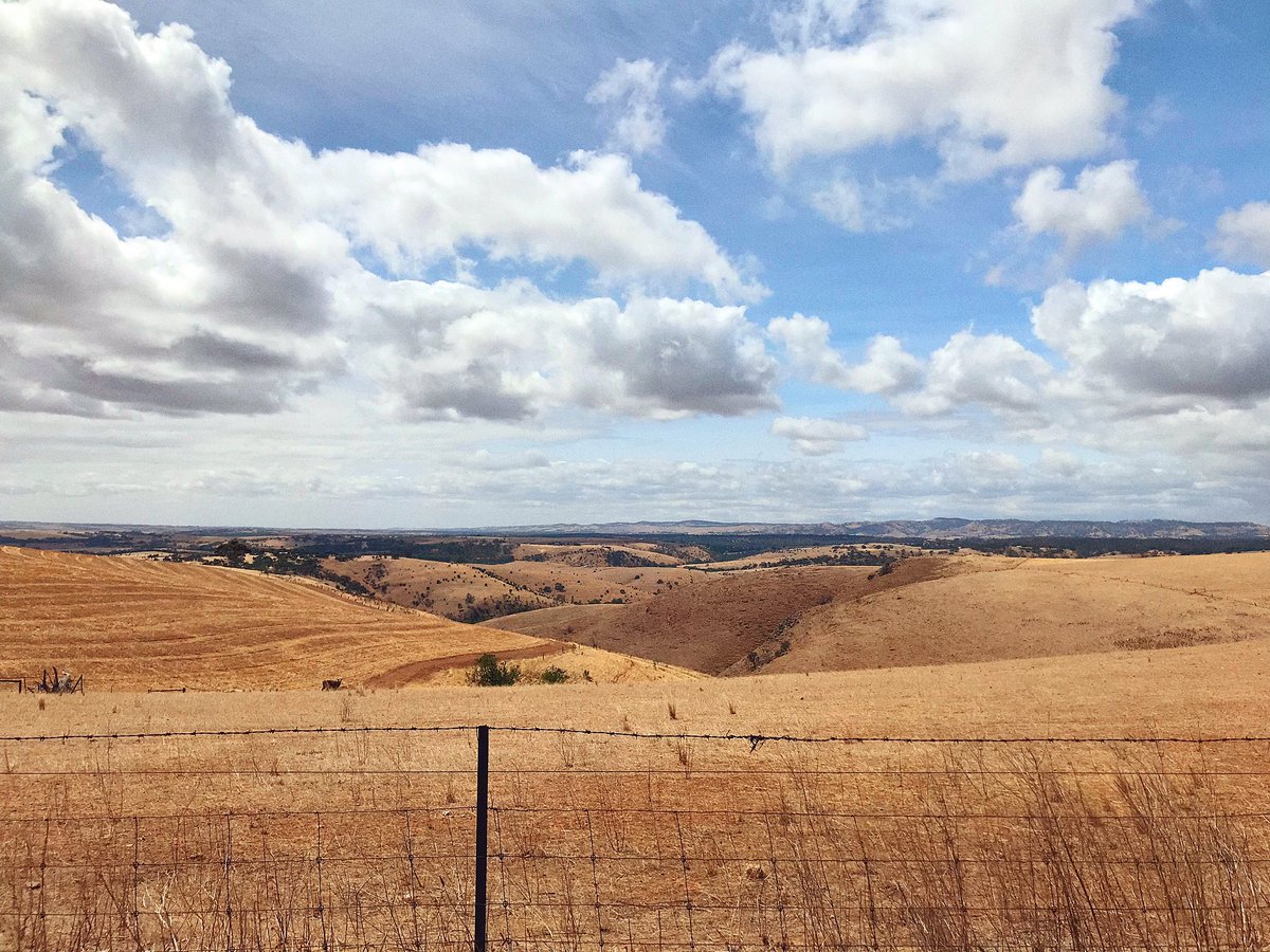 Dr Monique Boord 🧠 tweet media