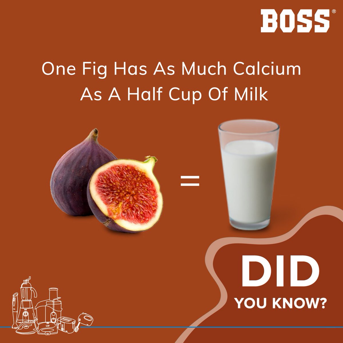 BOSS_Appliances's tweet photo. Are you the one who doesn’t like milk? Meet your alternative.
#DidYouKnow #Facts #DidYouKnowfacts #FigFacts #Calcium #Milk #BossHomeAppliances #BOSS https://t.co/DCqAlFgUNp
