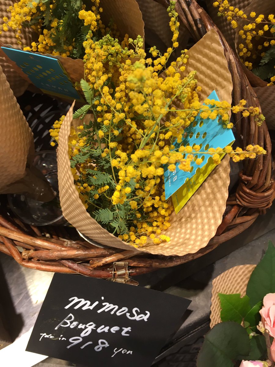 花束を君に ミモザの日 ミモザ 大切な女性に花を贈ってみてはいかがですか 国際女性デー Flowers Bouquet 花束を君に ミモザの日 ミモザ 大切な女性に花を贈ってみてはいかがですか 国際女性デー Flowers Bouquet