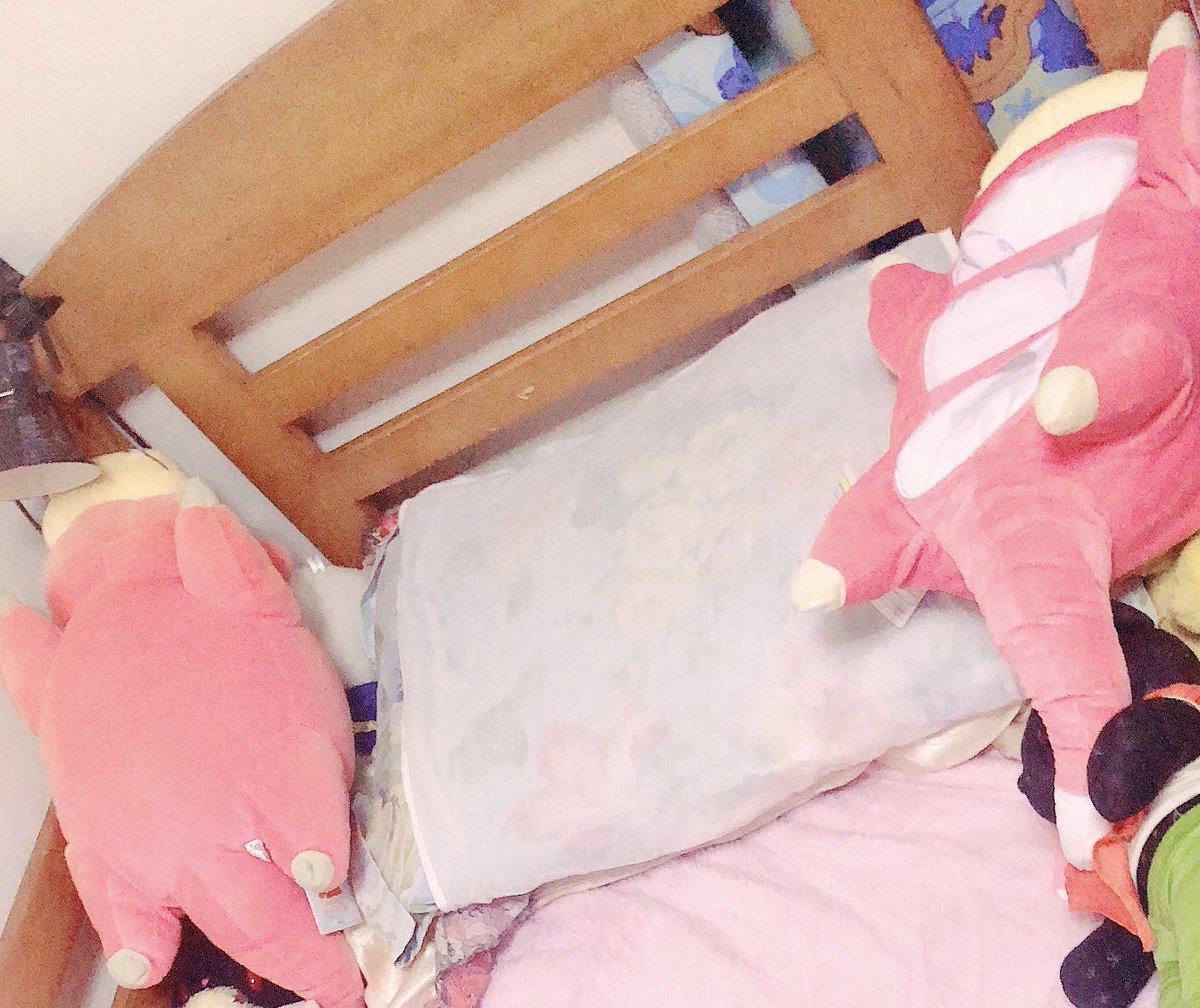 Yun V Twitter 旅行中にお母さんがある程度綺麗にしてくれてたんだけど毎回毎回もちふわヤドンひっくり返されるのなんか恨みでもあるんか 顔の向き間違えてるの