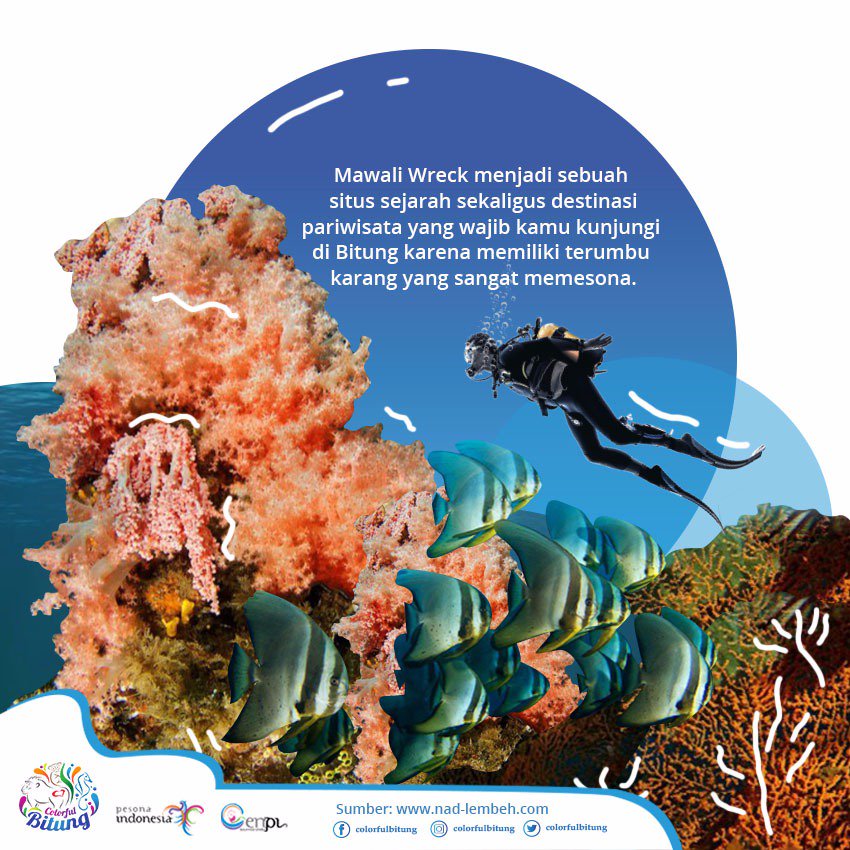 ColorfulBitung's tweet photo. Halo Kawan! Sudah punya rencana apa untuk berlibur esok hari? Mawali Wreck bisa menjadi salah satu opsi liburan kamu di Bitung, lho! Yuk simak post berikut!

#marijokabitung #colorfulbitung #pesonaindonesia #bitungbahariberseri #wonderfulindonesia https://t.co/FHSu5RnIG0