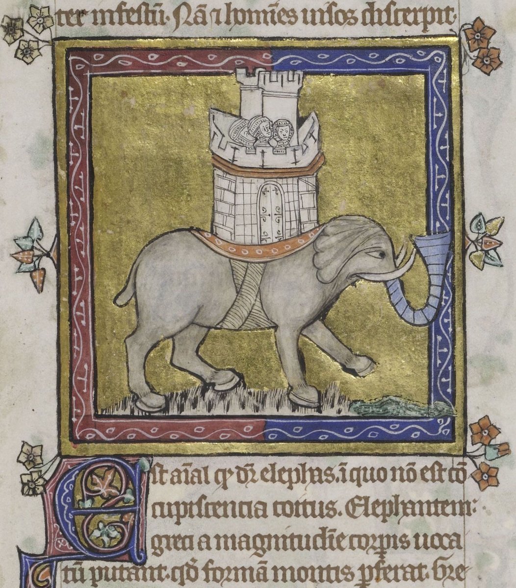 ParkerLibCCCC's tweet photo. These were the beastly #miniatures from the Peterborough Bestiary our excellent #illuminators were copying - the #unicorn, the #elephant, the #antelope and the 'sinomonologus' #bird...
#CCCC53 #illumination #marvellousmss #bestiary #medievalbeasts #medievaltwitter #medievalart https://t.co/L70gDx9X2N