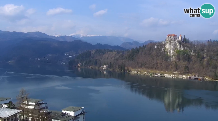 BledSlovenia's tweet photo. Smells like spring. https://t.co/ZMjRfnsB3t 🙂

#lakebled #ifeelsLOVEnia #slovenia #bled https://t.co/V9CHvKzsur