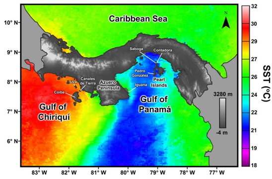 DrCarlyRandall's tweet photo. Hey #marinescience educators! If your students are interested in #coralreefs, check out our recently published lesson plan measuring the impacts of #ENSO and #coastalupwelling on reef growth! Fun for everyone yr 10 to undergrad.  https://t.co/Gp9NQmZqTK @aims_gov_au @FloridaTech https://t.co/s2v7wRJ4Qx