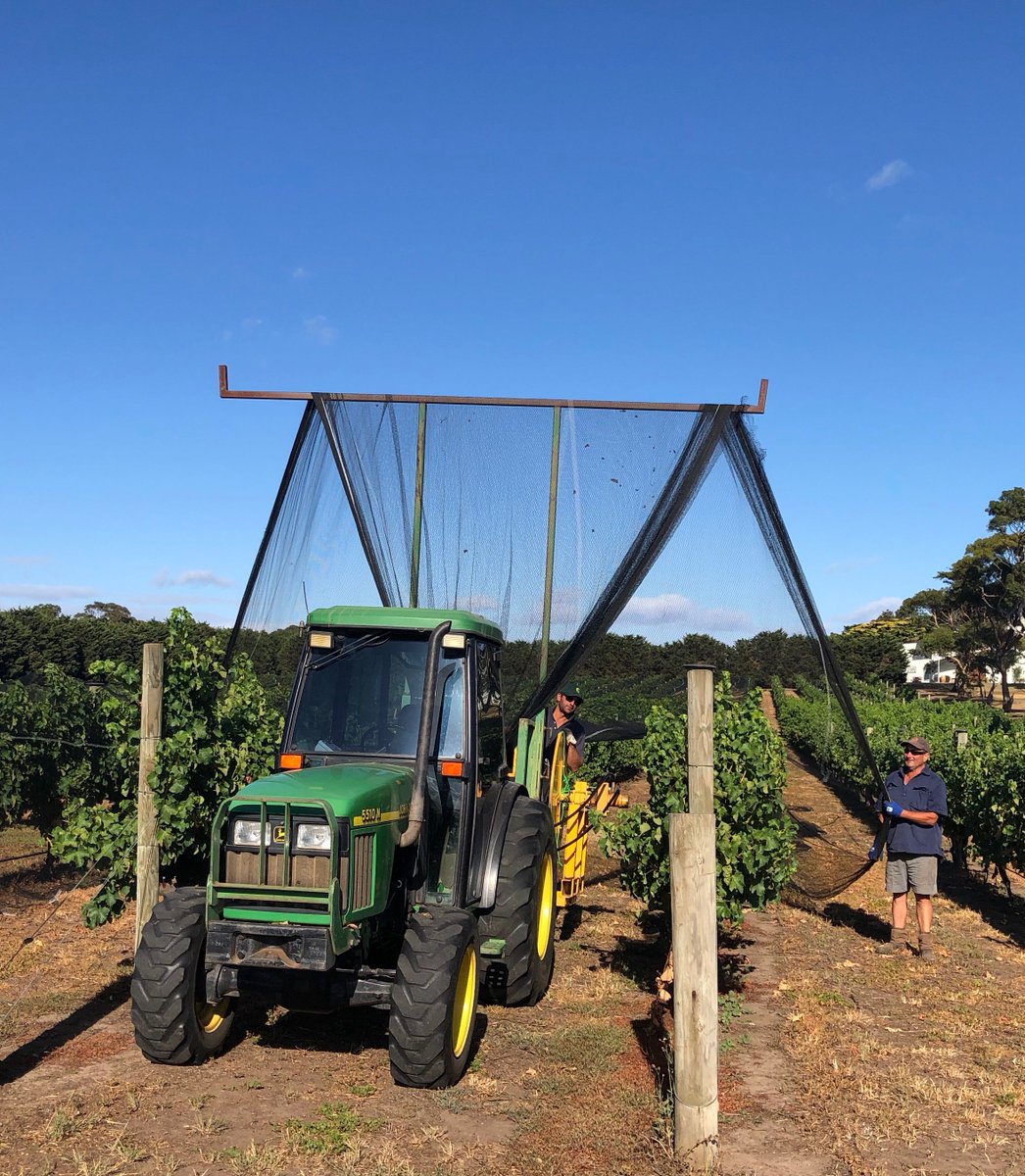 TurkeyTalking's tweet image. Check out our new podcast with Baie Wines - a real insight into the AgriBusiness Sector! talkingturkeypodcast.libsyn.com/talking-turkey…