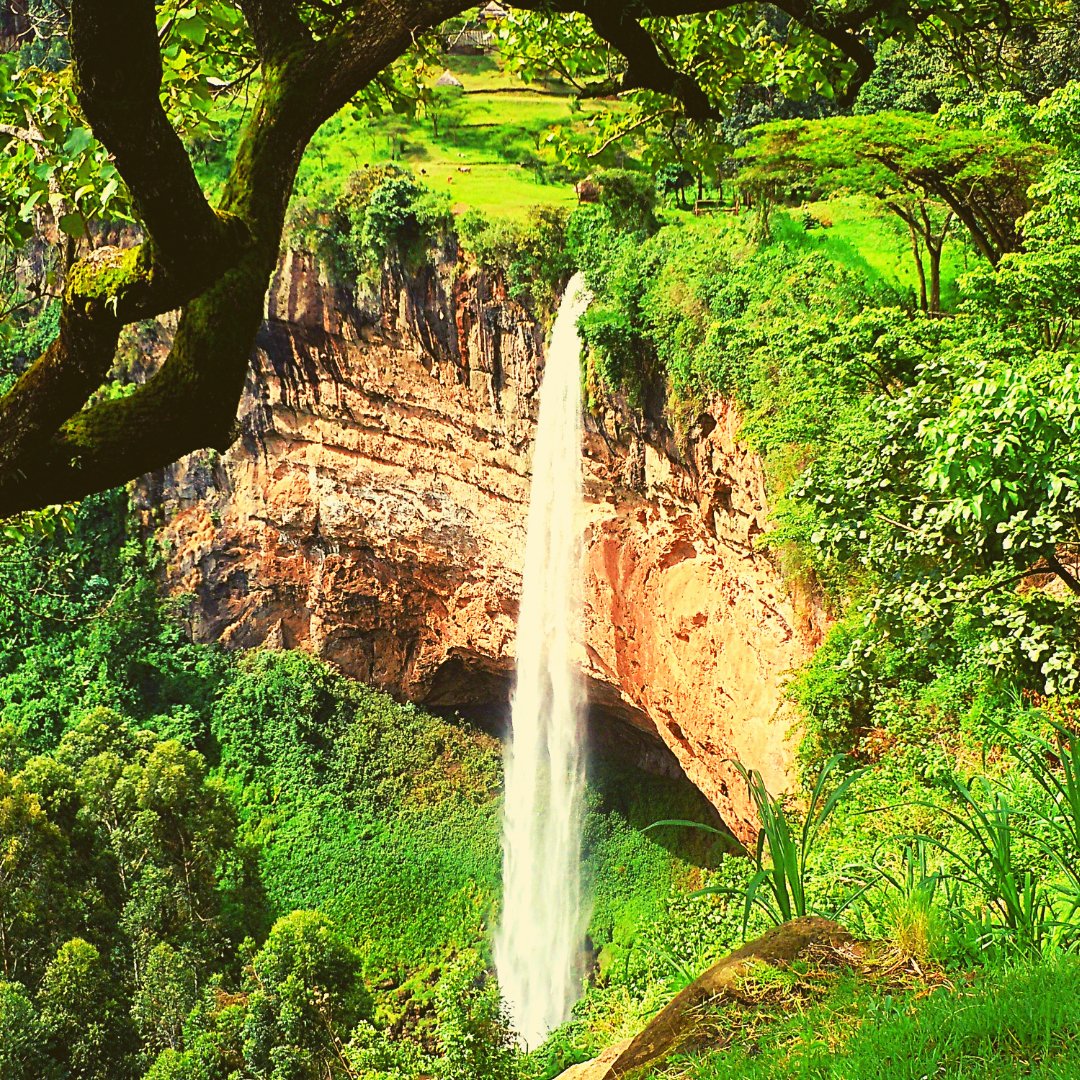 wildsightsafari's tweet photo. The magnificent Sipi Falls is the three glorious waterfalls that continuously cascade down the cliffs, off the edge of Mt Elgon, some plunging more than 100m into the Kyoga basin below. #travel #tulambule #safaris #wildsights. Plan your own adventure here https://t.co/vCvkycYequ https://t.co/GeOcz6z8cy