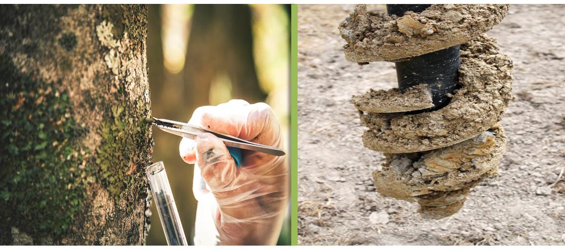 TranspiroPtyLtd's tweet photo. Natural technology is still the best option for the detection of harmful chemicals. Look the comparison between the transpiration process of the plants and the exploration geological drilling technique. #Greentech. https://t.co/2S1KKQaTg0 https://t.co/pS0eww7WQN