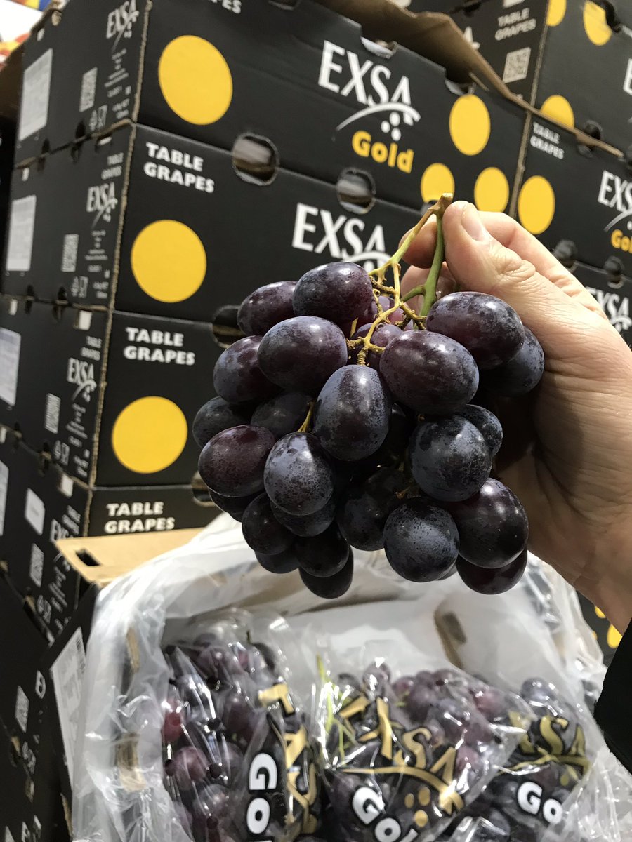 TG FRUITS tweet media
