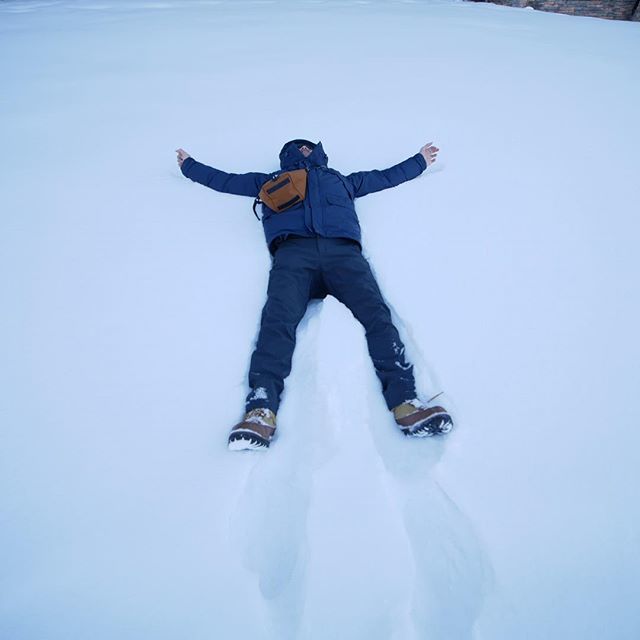 kooison's tweet photo. 去到雪地指定動作

#snowangel https://t.co/K78h36xGTa https://t.co/tQBoPcqd82