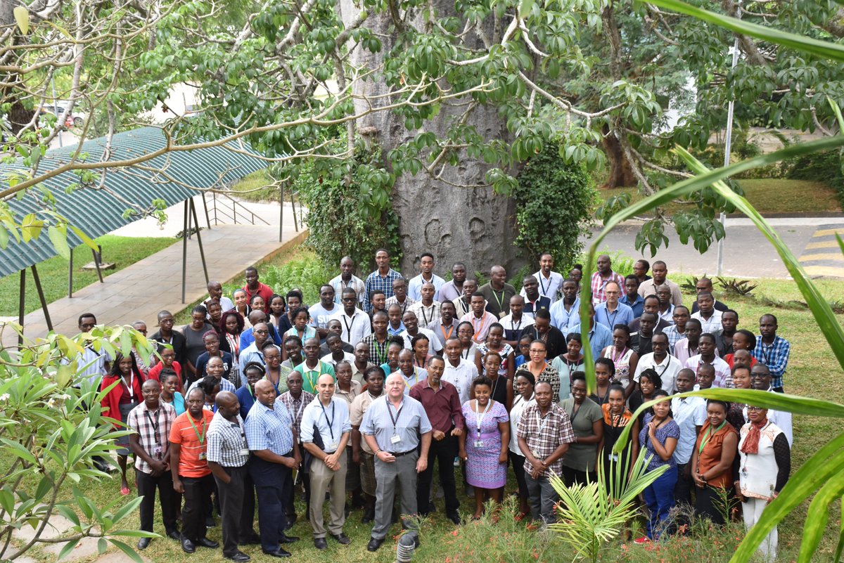 KEMRI_Wellcome's tweet photo. Interested in joining the leaders in innovative cutting-edge research in Africa? Well, we are hiring!!! 
The Head of Bioscience will set strategic priorities and plans for Biosciences and more... https://t.co/j2fcFkFlBS
Come join this amazing team! @wellcometrust @NDMOxford https://t.co/efexWyLzS8