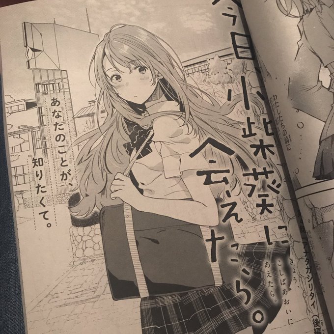 告知が遅くなりましたが、コミックREX4月号に「今日、小柴葵に会えたら」第4話掲載されております。こちらも、どうぞよろしくお願い致します〜! 