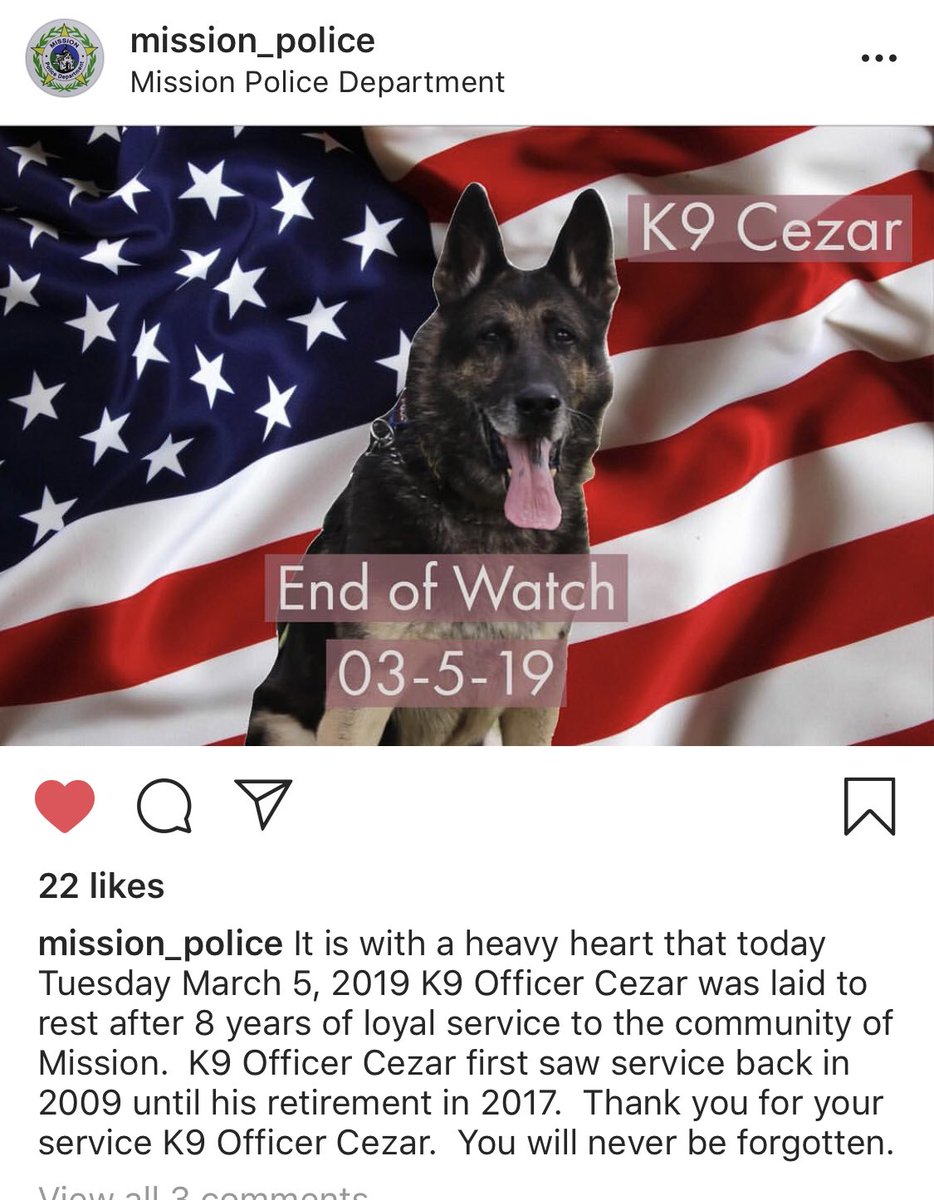 Eliza56811's tweet photo. Thank you for your service 🙏🏻💙🖤🌈
#missionpolice #k9eow #endofwatch @MissionPD https://t.co/Z7UJCZMFht