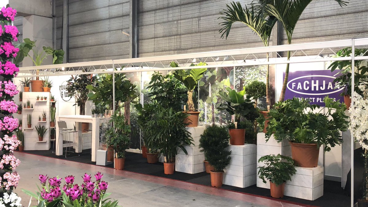 FachjanProjectPlants tweet media