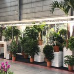 Photo by FachjanProjectPlants (@fachjanbv)