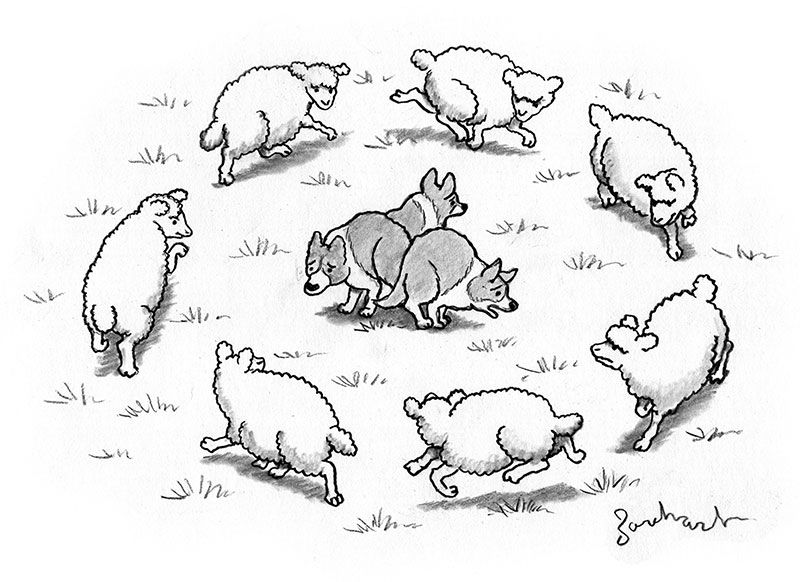 doc_nad's tweet photo. The Cartoon Collections Caption Contest #13 https://t.co/zNQP1L4tAk #DavidBorchart #captioncontest #dog https://t.co/uRitMtmEun