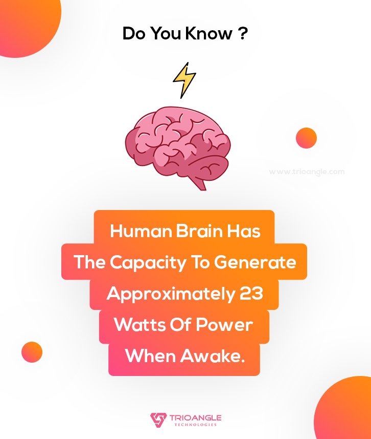 Trioangle's tweet photo. #DoYouKnow #HumanBrain #InformativeBite #Information #Facts #Trioangle #GoferZone https://t.co/uMfxZJ8gmw https://t.co/Spy9TQFl0J https://t.co/Chvo8GUUQK https://t.co/KvF9x3xbLi