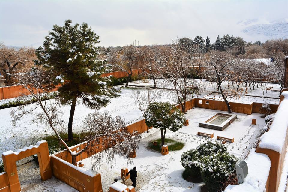 Inayat Saeed tweet media