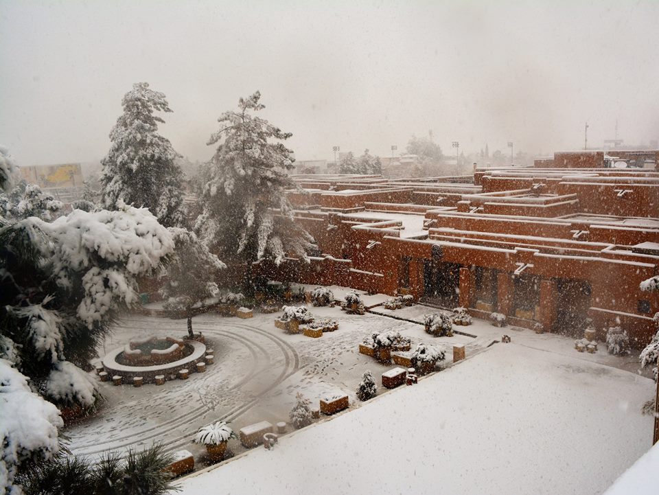 Inayat Saeed tweet media