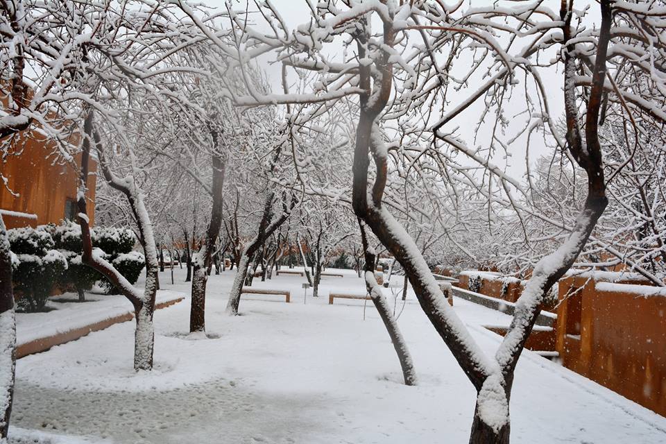 Inayat Saeed tweet media