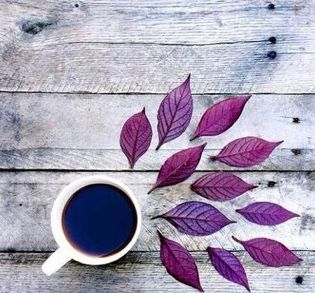 3pm_coffee's tweet photo. Coffee, thinking time and planning the day time or just your time. 
#specialtycoffee #quitemoment #planning #thinkingahead #greatday #coffeetime #qualitytime https://t.co/zQ5v9YuuuK