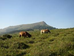 Larrun mendiko proiektua aipatuko dugu 8etako berrien ondotik. Joset Andueza, proiektuaren ondorioak aztertu dituen Andueza kabinetekoa gure gomita da