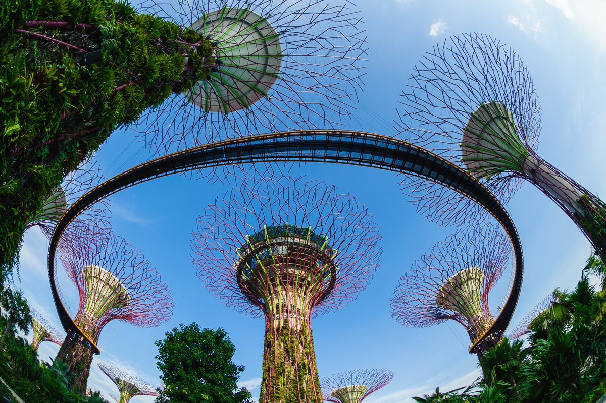 AsiaEscape's tweet photo. Have a stopover in #Singapore? 🇸🇬 ✈️ Here's how to make the most of it! https://t.co/66mOYnUisi https://t.co/6dYFD9ACuo