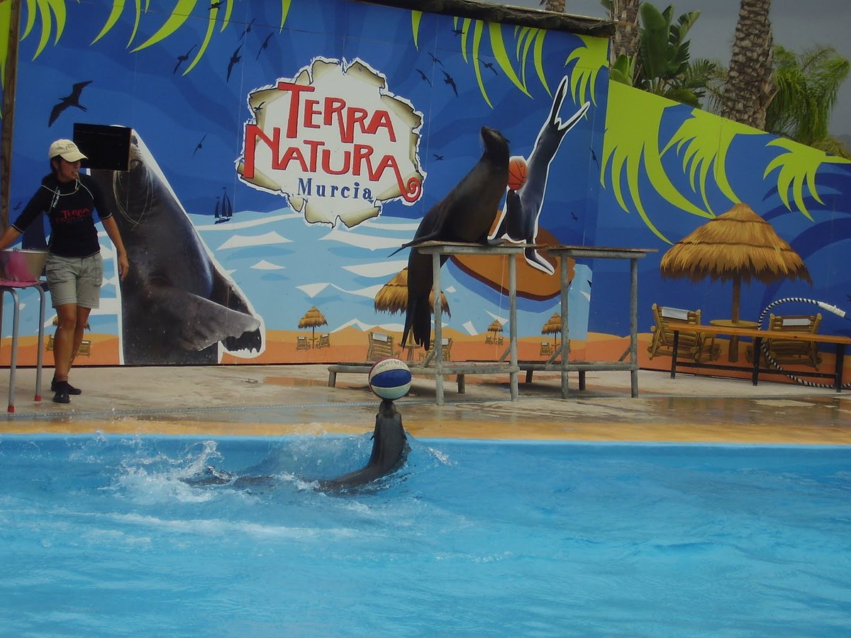 cmviaje's tweet photo. Zoológico Terra Natura Murcia. Paraiso, diversión y espectáculo #enMurcia https://t.co/0tWUgzTABx @TerraNaturaZoo https://t.co/oMHkPDA742