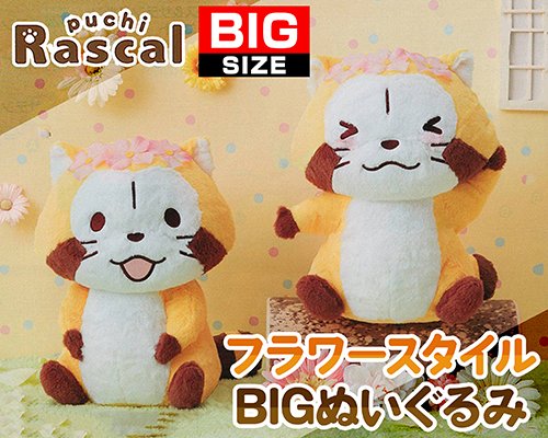 net_catcher's tweet photo. 💕💕
【本日入荷】
《ST3》プチラスカル フラワースタイルぬいぐるみ
《ST210》プチラスカル フラワースタイルＢＩＧぬいぐるみ
頭にお花を飾った可愛いラスカルのBIGぬいぐるみ🎶
GETはお早めに✌
💕💕
#あらいぐまラスカル #ラスカル #netcatcher #クレーンゲーム #オンラインクレーンゲーム #ネッチ https://t.co/uErHcqDtGM