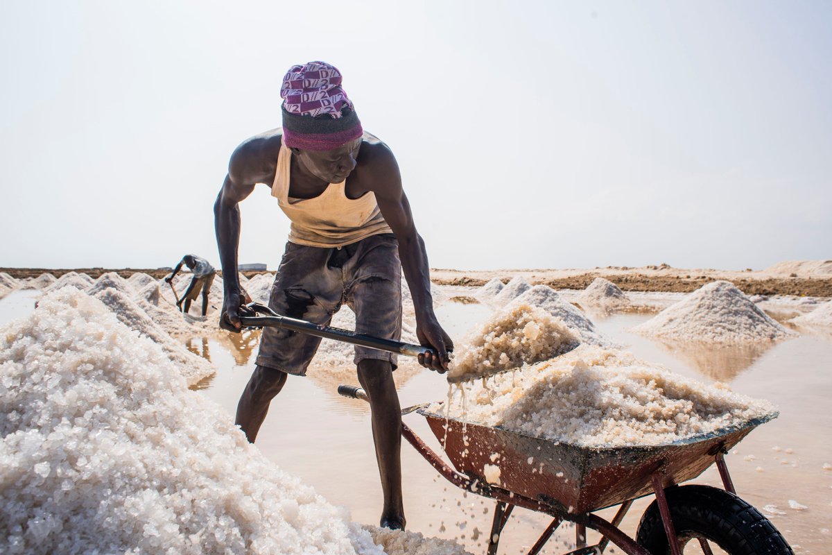 aachalchand's tweet photo. #Salt #iodization is an effective way to ensure populations get iodine in their diets. @WFP #Sudan is working with industry & government to scale up iodization in Sudan, thanks to support from @EU_SUDAN. #SDG2 #endingmicronutrientmalnutrition #savingliveschanginglives ©Ala Kheir https://t.co/VRu2ZNTOwL
