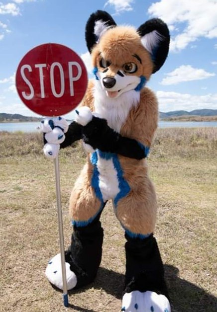 Faux_Veritas's tweet image. When people just won&apos;t stop! #ItsTimeToStop
📷@boxerfox