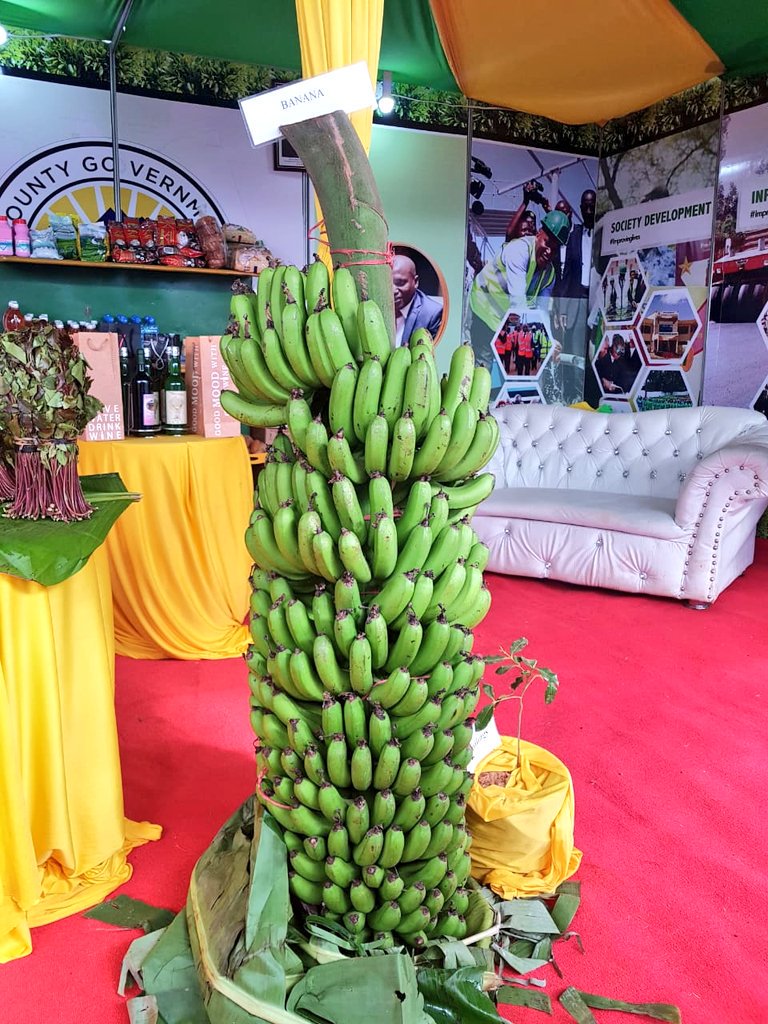 DiscoverMeru's tweet photo. Showcasing @Meru_county at the #DevCon2019
#IncredibleMeru https://t.co/NlHJfWv2PI