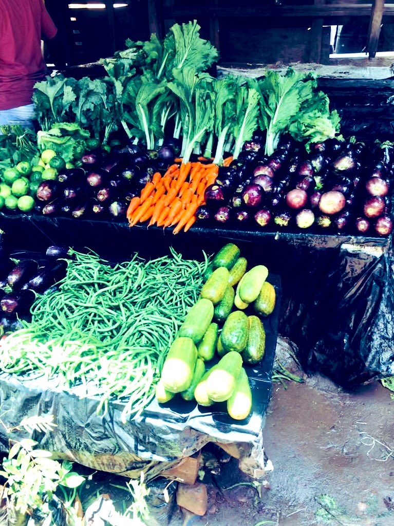 BerryBeeMW's tweet photo. Lizulu Market, Lilongwe https://t.co/TzDry3rxM9