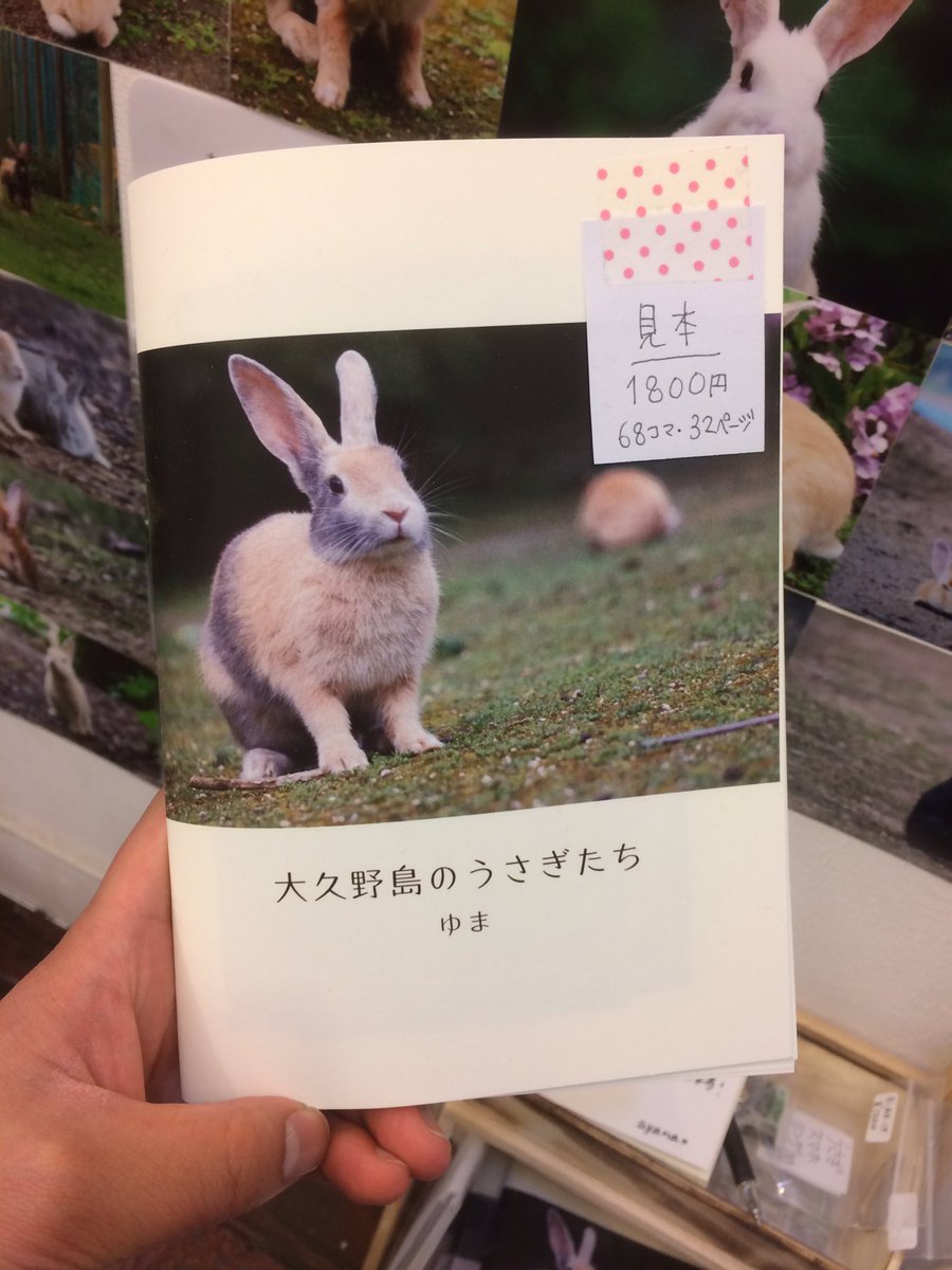 デザインフェスタギャラリー 原宿 うさぎの島 の写真集 うさぎ万博 うさばん うさぎのいる暮らし デザインフェスタギャラリー 原宿 うさぎの島 の写真集 うさぎ万博 うさばん うさぎのいる暮らし
