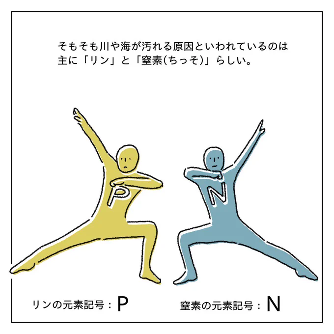 自由研究はじめました。
自然大好きな私にとって、川や海が汚れている映像を見ると心が痛む。
『そもそもなんで汚れるの?』と疑問が生まれたので調べていくと、水中のリンと窒素濃度が高くなると川や海の水が濁って汚くなるらしい。
リンと窒素ってそんな悪いモノなのか?
そんな疑問を調べた結果… 