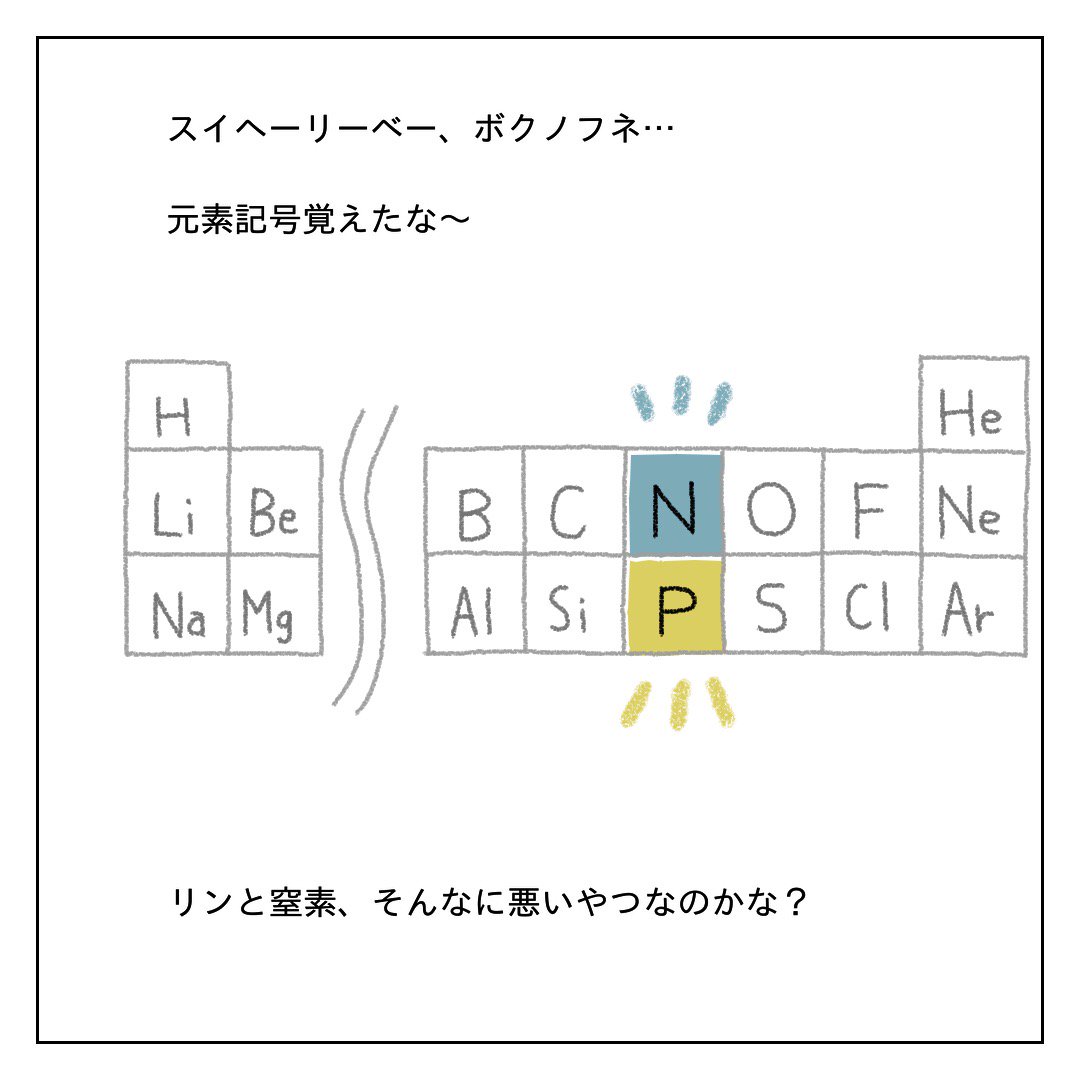 ちょろぼー ゆるイラスト 在 Twitter 上 続きはこちら 結論 リンと窒素 いいやつじゃん そもそも 無いと私生きられないみたいだし とはいえ リンと窒素が水質汚染の原因なのは確かだし さらに深めてみたいと思います イラスト イラスト好きさんと