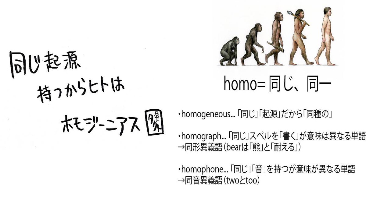 語源マスターへの道 Roots Takt Twitter