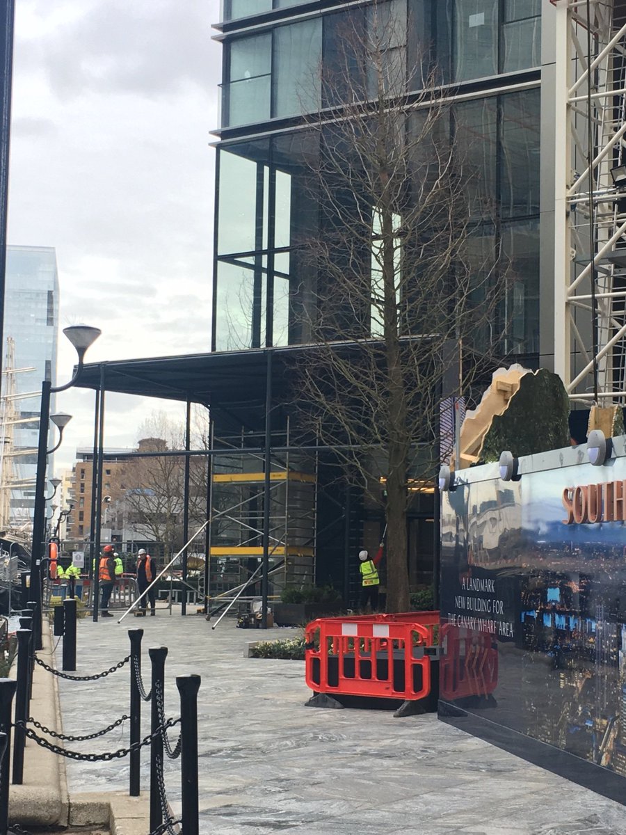 From the old to the new as walking across <a href="/CanaryWharfStn/">Canary Wharf Station</a> to <a href="/BerkeleyGroupUK/">Berkeley Group</a> South quay plaza when only big trees will do <a href="/BerkBoomkwekers/">Boomkwekerij vd Berk</a> <a href="/HTADesignLLP/">HTA Design LLP</a> <a href="/MaylimLtd/">Maylim</a>