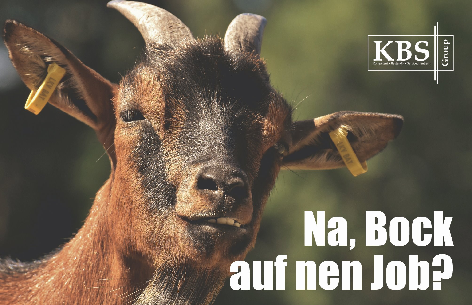 stellenanzeigen pflege