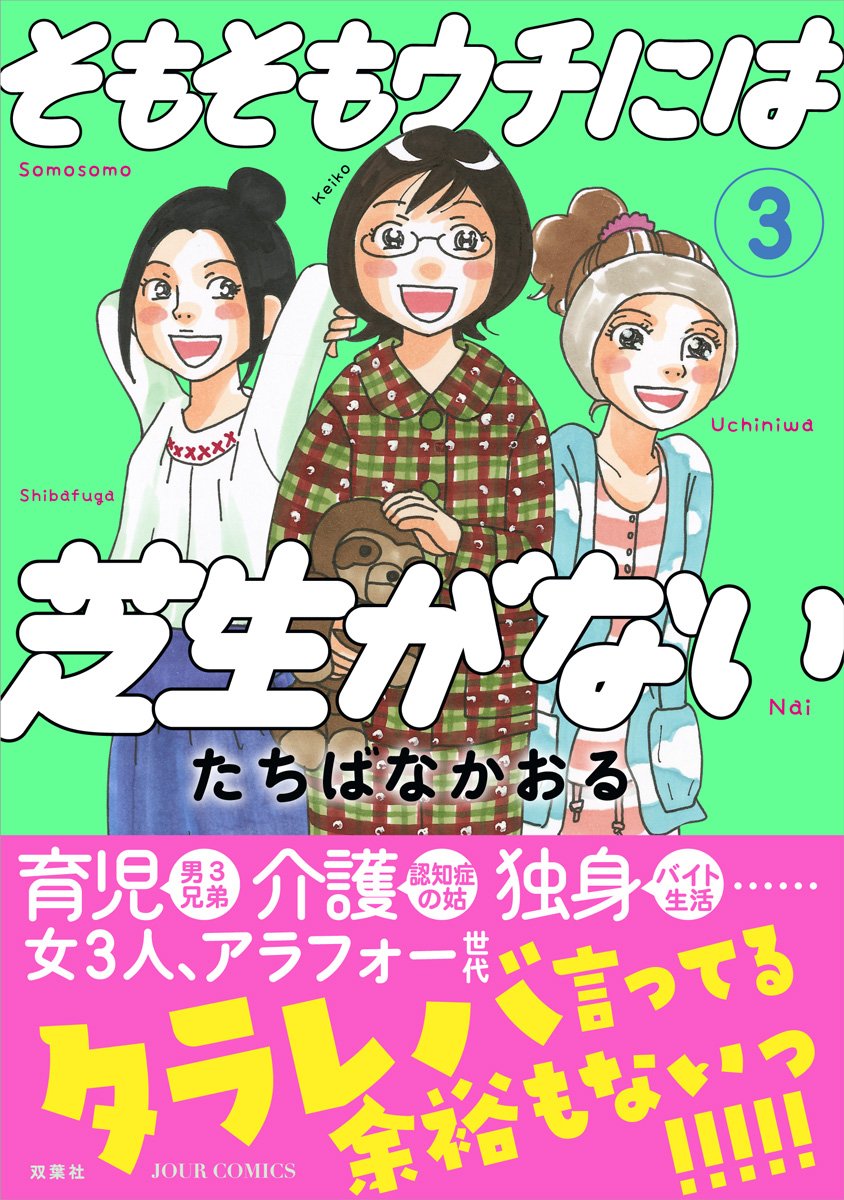 そもそも ウチ に は 芝生 が ない