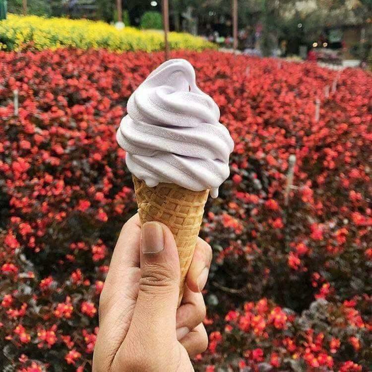 Cyra A Twitter Iwanqais Nasi Lemak Strawberry Dgn Aiskrim Kt Kea Farm Je Yg Sedap Yg Lagi Dua Tu Lawa Utk Ambik Gmbr Je Https T Co Mgouwi6kzk Twitter