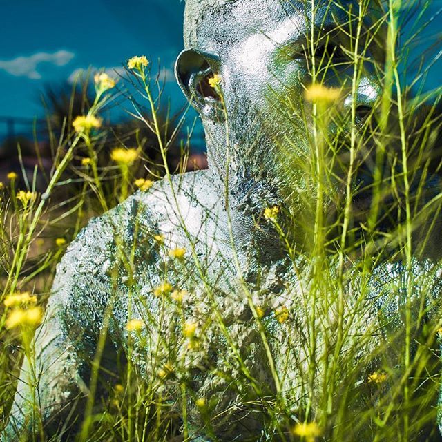 SchwabelStudio's tweet photo. 2 years ago we had a #superbloom in our new-to-us backyard in #joshuatree and @johnnyhazzard1 was there for the traditional “covered in clay and makeup” superbloom celebration 🤷‍♂️ https://t.co/p0cjM2GHjL https://t.co/kLFnWy992P