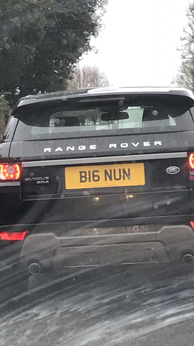 Shane Nicholson tweet media