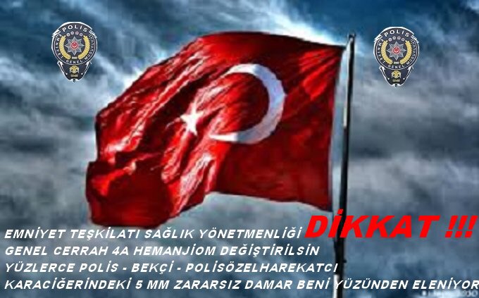 metinyildiz0226's tweet photo. #Çarşamba diril erturul günün de şu HEMANJİOM sorununu çözelim inş @suleymansoylu @RT_Erdogan @EmniyetGM @arzuerdemDB @CelalUzunkaya @CMYLMZ 😁 https://t.co/z8SjMlMZio