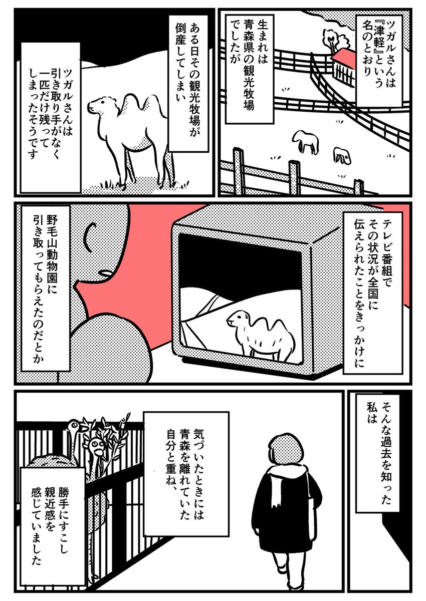 野毛山動物園のフタコブラクダにまつわる話を描きました

【短編漫画】ツガルさんと一緒① 